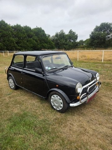 Austin Mini d'occasion