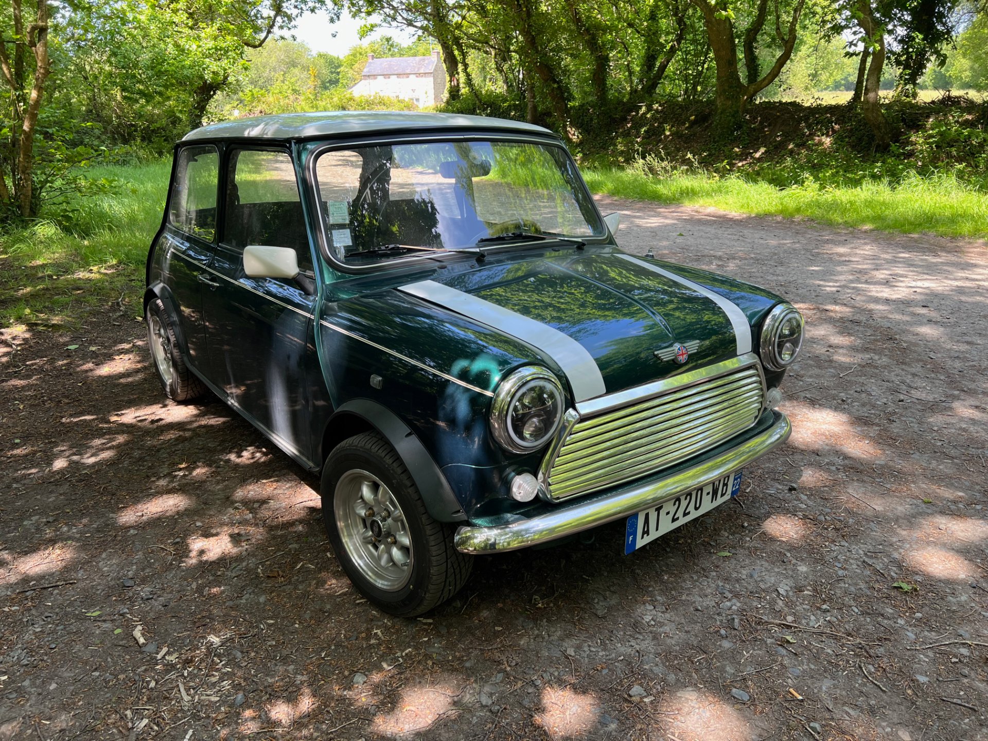 Austin Mini d'occasion